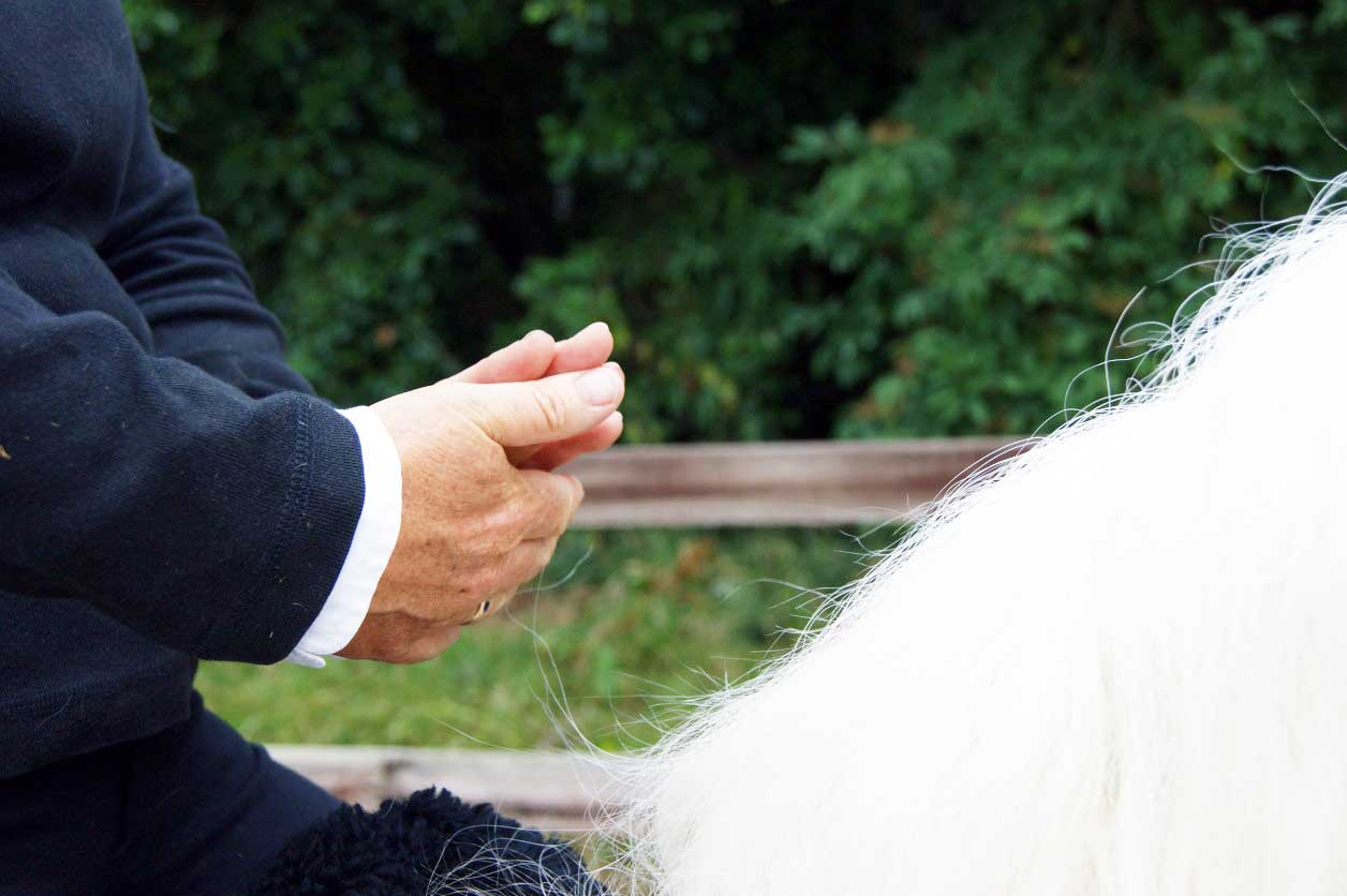 Jenny demonstrating Tai Chi on horseback