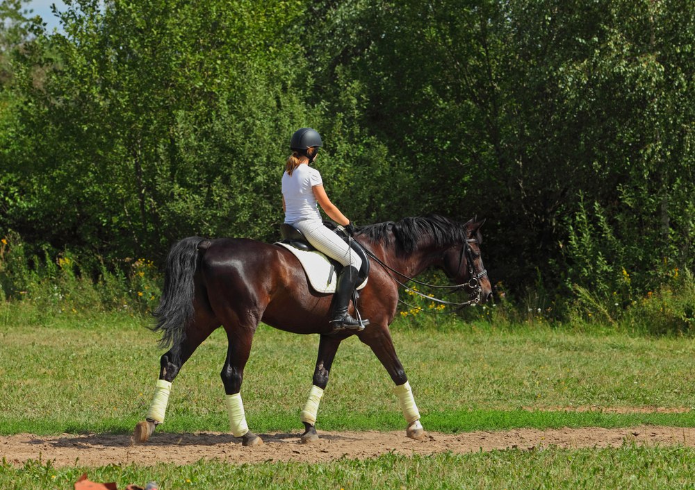 5. woman on horse