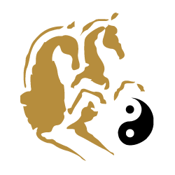 Equestrian tai chi logo