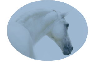 horse mist aura